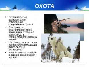 ОХОТА Охота в России разрешена при соблюдении специальных правил. Эти правила ог