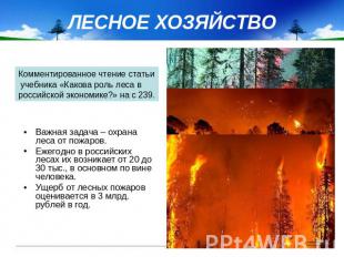 ЛЕСНОЕ ХОЗЯЙСТВО Важная задача – охрана леса от пожаров. Ежегодно в российских л
