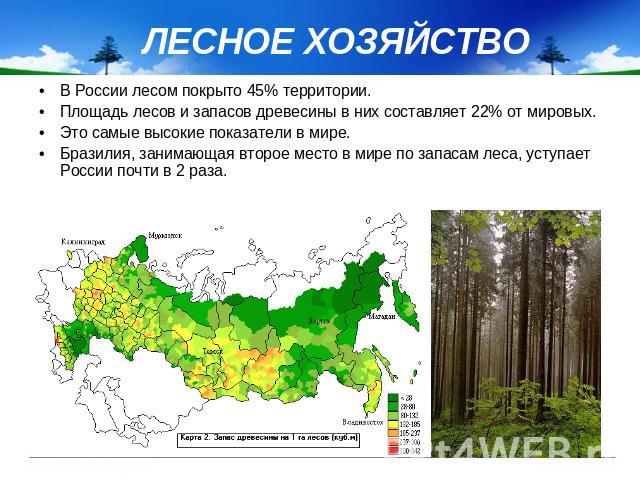 ЛЕСНОЕ ХОЗЯЙСТВО В России лесом покрыто 45% территории. Площадь лесов и запасов древесины в них составляет 22% от мировых. Это самые высокие показатели в мире. Бразилия, занимающая второе место в мире по запасам леса, уступает России почти в 2 раза.