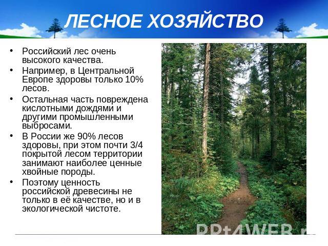ЛЕСНОЕ ХОЗЯЙСТВО Российский лес очень высокого качества. Например, в Центральной Европе здоровы только 10% лесов. Остальная часть повреждена кислотными дождями и другими промышленными выбросами. В России же 90% лесов здоровы, при этом почти 3/4 покр…