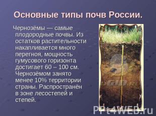 Основные типы почв России. Чернозёмы — самые плодородные почвы. Из остатков раст