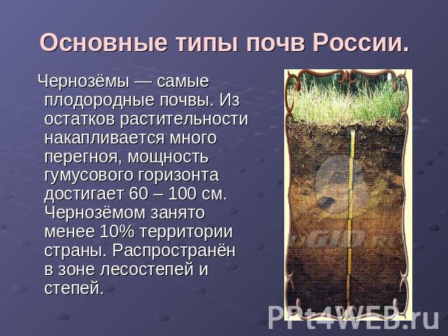 Основные типы почв России. Чернозёмы — самые плодородные почвы. Из остатков растительности накапливается много перегноя, мощность гумусового горизонта достигает 60 – 100 см. Чернозёмом занято менее 10% территории страны. Распространён в зоне лесосте…