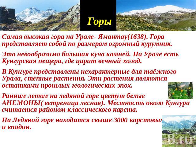 Горы Самая высокая гора на Урале- Ямантау(1638). Гора представляет собой по размерам огромный курумник. Это невообразимо большая куча камней. На Урале есть Кунгурская пещера, где царит вечный холод. В Кунгуре представлены нехарактерные для таёжного …