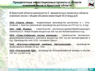 Приоритетные инвестиционные проекты в области освоения лесов в Иркутской области