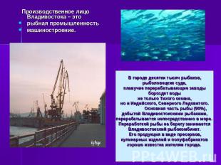 Производственное лицо Владивостока – это рыбная промышленность машиностроение. В