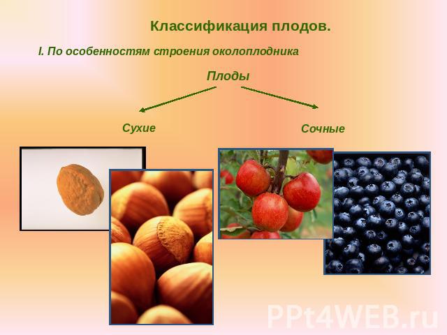 Классификация плодов.I. По особенностям строения околоплодникаПлодыСухиеСочные