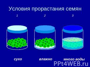 Условия прорастания семян суховлажномного воды