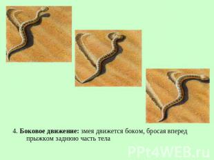 4. Боковое движение: змея движется боком, бросая вперед прыжком заднюю часть тел