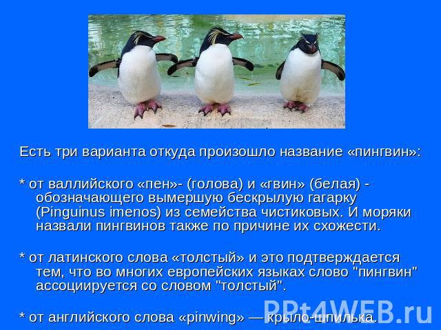Есть три варианта откуда произошло название «пингвин»:* от валлийского «пен»- (голова) и «гвин» (белая) - обозначающего вымершую бескрылую гагарку (Pinguinus imenоs) из семейства чистиковых. И моряки назвали пингвинов также по причине их схожести.* …