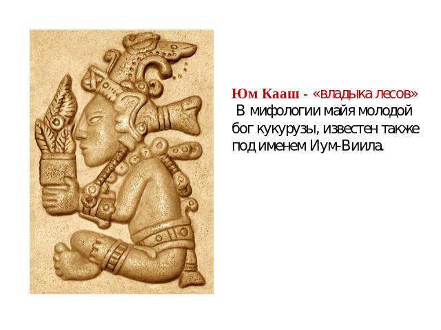 Юм Кааш - «владыка лесов» В мифологии майя молодой бог кукурузы, известен также под именем Иум-Виила.