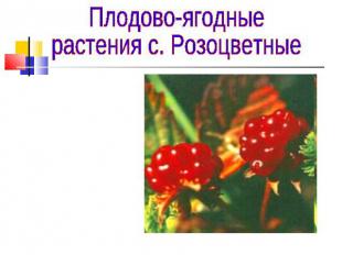 Плодово-ягодныерастения с. Розоцветные