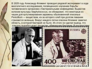 В 1928 году Александр Флеминг проводил рядовой эксперимент в ходе многолетнего и