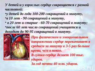 У детей и у взрослых сердце сокращается с разной частотой: у детей до года 100-2
