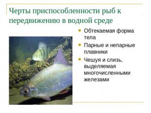 Черты приспособленности рыб к передвижению в водной среде Обтекаемая форма телаП