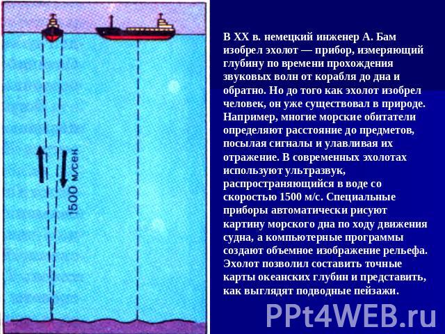 В XX в. немецкий инженер А. Бам изобрел эхолот — прибор, измеряющий глубину по времени прохождения звуковых волн от корабля до дна и обратно. Но до того как эхолот изобрел человек, он уже существовал в природе. Например, многие морские обитатели опр…