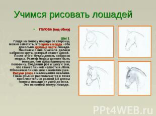 Учимся рисовать лошадей ГОЛОВА (вид сбоку) Шаг 1 Глядя на голову лошади со сторо