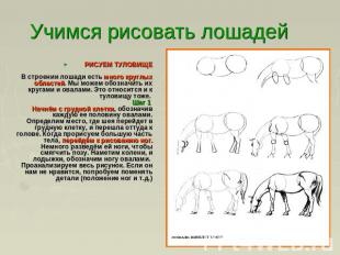 Учимся рисовать лошадей РИСУЕМ ТУЛОВИЩЕВ строении лошади есть много круглых обла