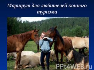 Маршрут для любителей конного туризма