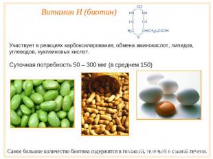 Витамин Н (биотин) Участвует в реакциях карбоксилирования, обмена аминокислот, л
