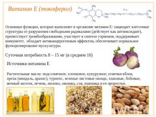 Витамин E (токоферол)Основные функции, которые выполняет в организме витамин Е: