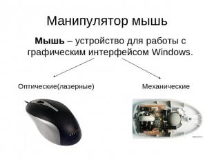 Манипулятор мышь Мышь – устройство для работы с графическим интерфейсом Windows.