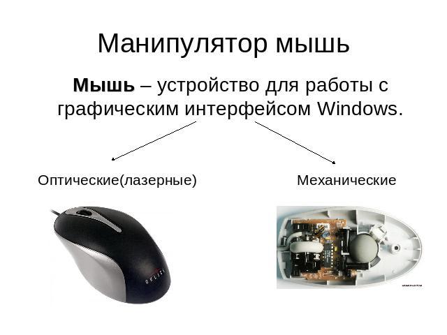 Манипулятор мышь Мышь – устройство для работы с графическим интерфейсом Windows.Оптические(лазерные)Механические