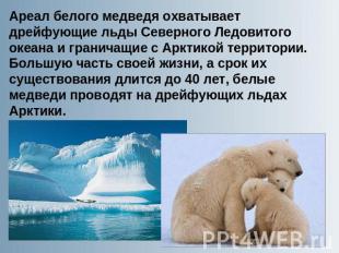 Ареал белого медведя охватывает дрейфующие льды Северного Ледовитого океана и гр