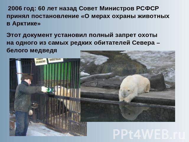 2006 год: 60 лет назад Совет Министров РСФСР принял постановление «О мерах охраны животных в Арктике»Этот документ установил полный запрет охоты на одного из самых редких обитателей Севера – белого медведя