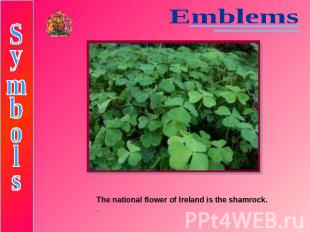 EmblemsSymbolsThe national flower of Ireland is the shamrock..