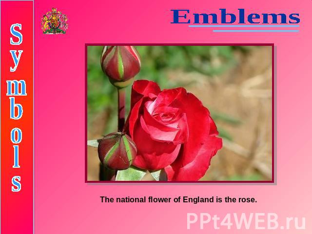 EmblemsSymbolsThe national flower of England is the rose.