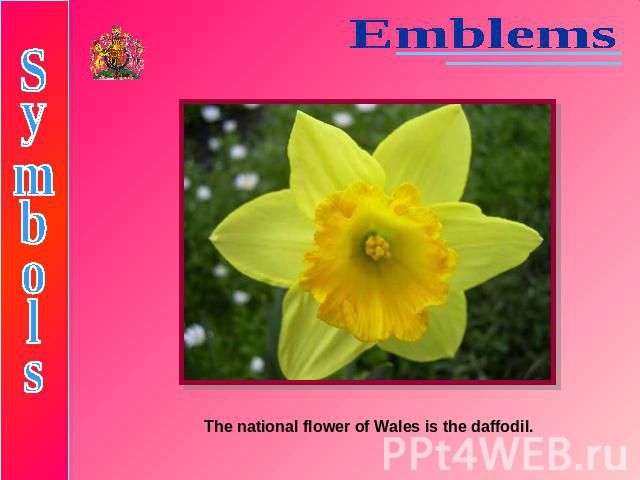 EmblemsSymbolsThe national flower of Wales is the daffodil.