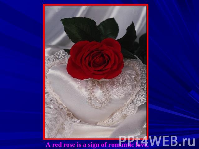 A red rose is a sign of romantic love.