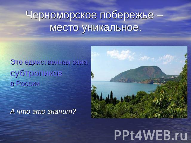 Черноморское побережье – место уникальное. Это единственная зона субтропиковв РоссииА что это значит?