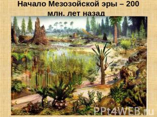 Начало Мезозойской эры – 200 млн. лет назад