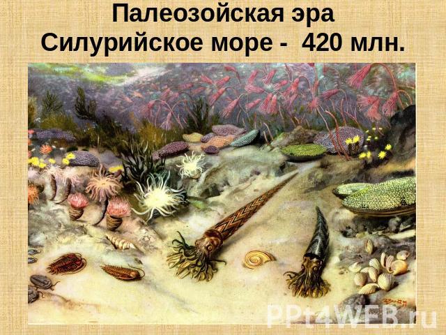 Палеозойская эраСилурийское море - 420 млн. лет назад