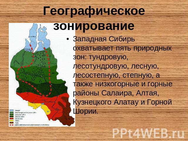 Географическое зонирование Западная Сибирь охватывает пять природных зон: тундровую, лесотундровую, лесную, лесостепную, степную, а также низкогорные и горные районы Салаира, Алтая, Кузнецкого Алатау и Горной Шории.