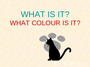 WHAT IS IT?WHAT COLOUR IS IT?