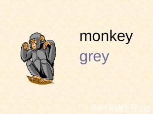 monkeygrey