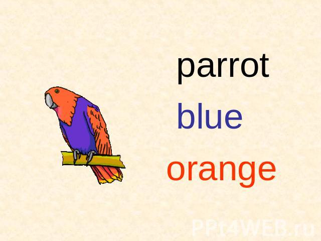 parrot blueorange