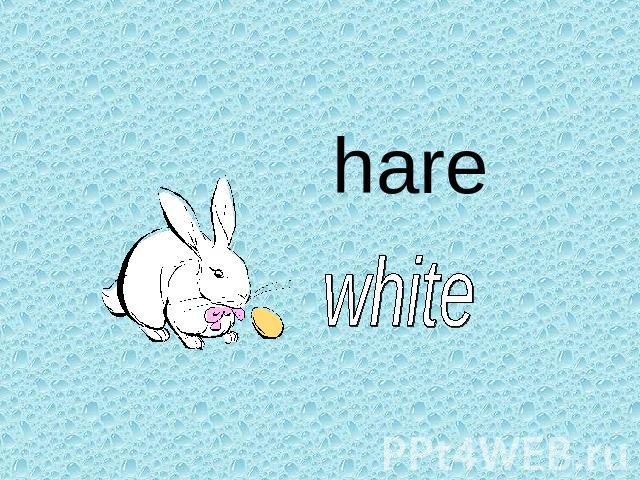 hare white