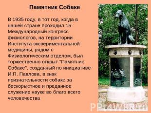 Памятник СобакеВ 1935 году, в тот год, когда в нашей стране проходил 15 Междунар