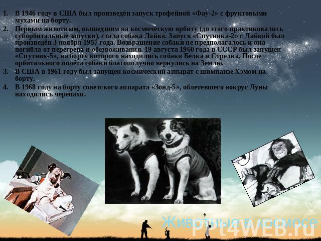 В 1946 году в США был произведён запуск трофейной «Фау-2» с фруктовыми мухами на борту.Первым животным, вышедшим на космическую орбиту (до этого практиковались суборбитальные запуски), стала собака Лайка. Запуск «Спутника-2» с Лайкой был произведён …