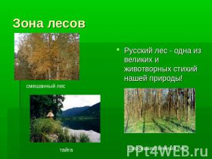 Зона лесов Русский лес - одна из великих и животворных стихий нашей природы!смеш
