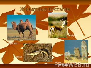 Животные пустыни верблюдджейранваранпесчанки