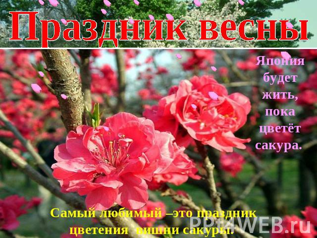 Праздник весныЯпония будет жить, пока цветёт сакура. Самый любимый –это праздник цветения вишни сакуры.