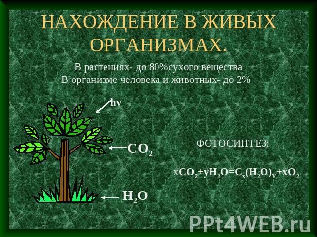 НАХОЖДЕНИЕ В ЖИВЫХ ОРГАНИЗМАХ. В растениях- до 80%сухого вещества В организме человека и животных- до 2%ФОТОСИНТЕЗ:xCO2+yH2O=Cx(H2O)Y+xO2