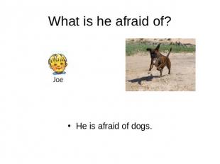 What is he afraid of? He is afraid of dogs.