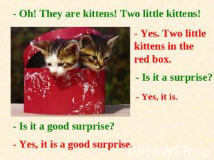 - Oh! They are kittens! Two little kittens!- Yes. Two little kittens in the red