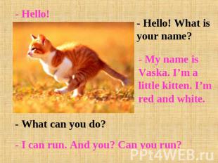 - Hello! - Hello! What is your name?- My name is Vaska. I’m a little kitten. I’m