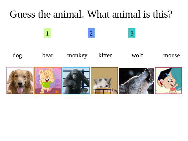 Guess the animal. What animal is this?dog bear monkey kitten wolf mouse